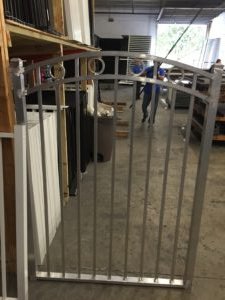 IMG_0487