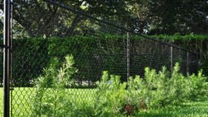 chain-link-fences_3