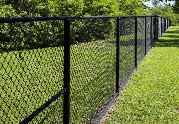 Black Chain link Fences